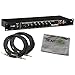 Tech 21 SansAmp RBI Rackmountable Bass Preamp Bundle w/Cables