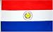 Paraguay National Country Flag - 3x5foot poly