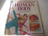 Human body