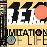 Imitation of Life