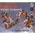 Mozart: Int�grale des Quatuors [Box Set]