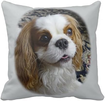 Decorative Cotton Canvas 18 X 18 Inch Cavalier King Charles Spaniel Throw Pillowcase
