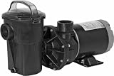 413ZAF1vdUL. SL160  Buy Hayward Pool Pumps