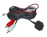 Direct Audio Input From iPod Dock Connector to RCA Cable
