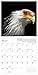 Endangered: Photo Ark 2016 Wall Calendar