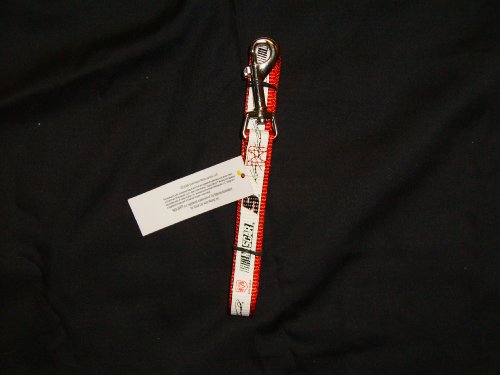NASCAR Licensed Kasey Kahne # 9 Nylon, 5/8 Dog Lead/Leash