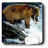 Wild animals - Brown Bear Fishing - Mouse Pads