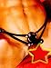 Tag Team Double Penetration Harness
