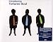 Tortured Soul-Introducing Tortured Soul