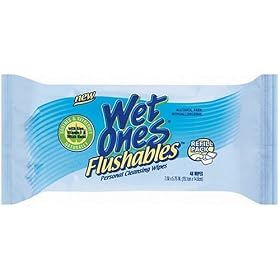 Wet Ones Flushables Personal Cleansing Wipes with Aloe, Vitamin E & Witch Hazel, 48 Count, Refill Pack