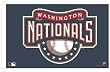 Washington Nationals 3'x5' Flag - Baseball Sports Merchandise