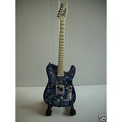 Fender Telecaster 'Paisley'