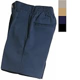 Dickies Boy's Flat Front Short with Elastic Back - Sizes 4-7