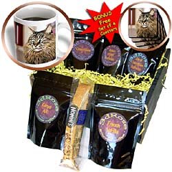 Cats - Maine Coon - Coffee Gift Baskets - Coffee Gift Basket by Decaf Espresso Roast