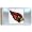 Arizona Cardinals
