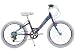 Girls Bikes 20 New Raleigh Starz 20 inch girls Childrens Bike