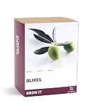 Gift Republic: Grow It. Grow Your Own Olives