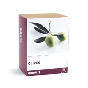 Gift Republic: Grow It. Grow Your Own Olives