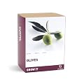 Gift Republic: Grow It. Grow Your Own Olives