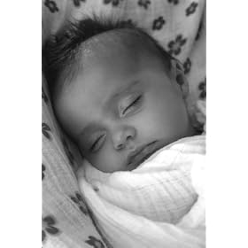 aden + anais 2 Pack Muslin Swaddle Wrap