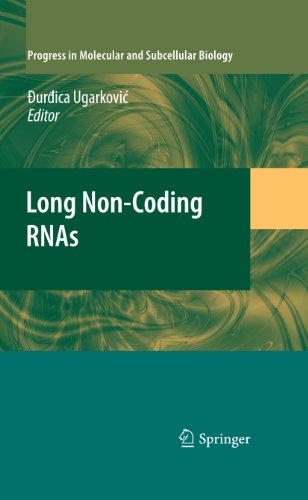 Long Non-Coding RNAs: 51 (Progress in Molecular and Subcellular Biology)