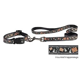 Halloween Happenings Collar - Small