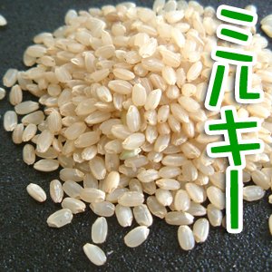 ミルキークイーン 平成22年 新米 農家直送 玄米 白米 特別栽培・有機肥料【ロハス・マクロビオティ