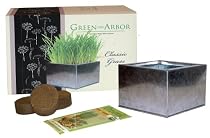 Green Arbor Classic Grass - Silver