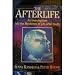 THE AFTERLIFE .
