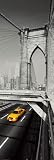 GIANT PAPER DOOR POSTER New York City Yellow Taxi Cab Brooklyn Bridge Poster Measures a massive 62 x 21 Inches (158 x 53 cm ) 413aYbmmnVL. SL160 GIANT PAPER DOOR POSTER New York City Yellow Taxi Cab Brooklyn Bridge Poster Measures a massive 62 x 21 Inches (158 x 53 cm )