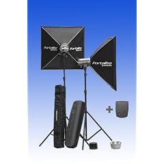 Elinchrom D-Lite 4 it To Go Set
