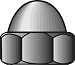 All Products : ACORN NUTS PRSD10-32 100
