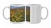 Photo Mugs of California Poppies and Yellow Goldfields (Lasthenia californica), Pygmy-Leaved from Ardea Wildlife Pets