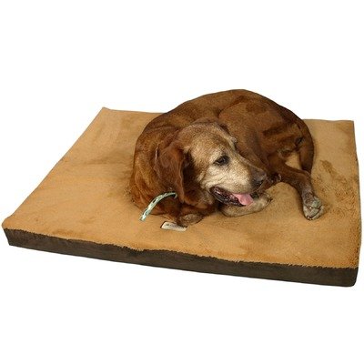 Armarkat Memory Foam Orthopedic Pet Bed Pad in Sage Green and Gray, 24-Inch by 18-Inch by 2-Inch