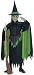 Wizard Of Oz Wicked Witch - Child Small