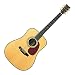 S.Yairi Historic Series YD-42 �A�R�[�X�e�B�b�N�M�^�[ �n�[�h�P�[�X�t