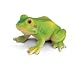 Schleich - Frog