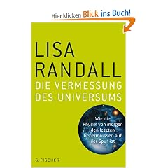 Die Vermessung des Universums: Wie die Physik von Morgen den letzten Geheimnissen auf der Spur ist