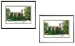 University of Colorado, Boulder Undergrad Framed Collegiate Campus Lithograph