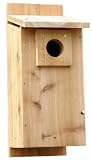 Stovall 2HW Basic Rustic Bluebird House