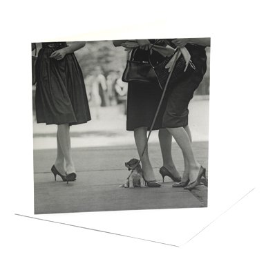 Small Talk Single Greeting Card