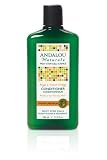 UPC 859975002065 product image for Andalou Naturals Argan Moisture Conditioner, Sweet Orange, 11.5 Ounce | upcitemdb.com