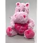 Nilpferd mit Herz aus Pl�sch pink, ca. 30cm von Un&hellip von Imberi