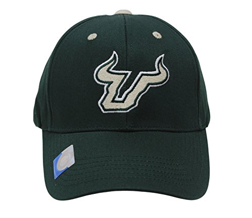 Captivating Headgear Men's Champ Fashion Embroidered Cap