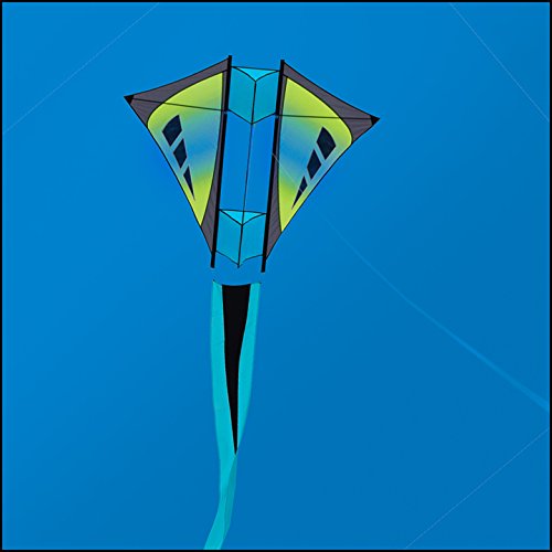 Top 5 Best box kites for adults for sale 2016 Product BOOMSbeat