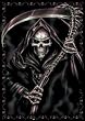 REAPER'S CURSE - 24x36 Poster