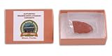 Orange Bowl Stadium Concrete Piece Gift Box