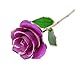 Amazleer Love Forever Long Stem Dipped 24k Gold Foil Trim Purple Rose Enchantress Flora with Thorns Real Rose Dipped in Gold