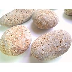 姫川薬石 原石 小と中の間 3個セット