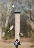 Onyx Clever Clean 18 Sunflower/Mixed Seed Feeder